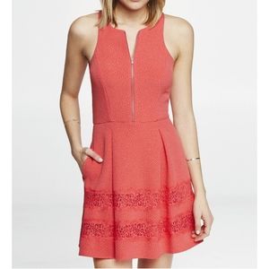 Express Fit and Flare Skater Dress